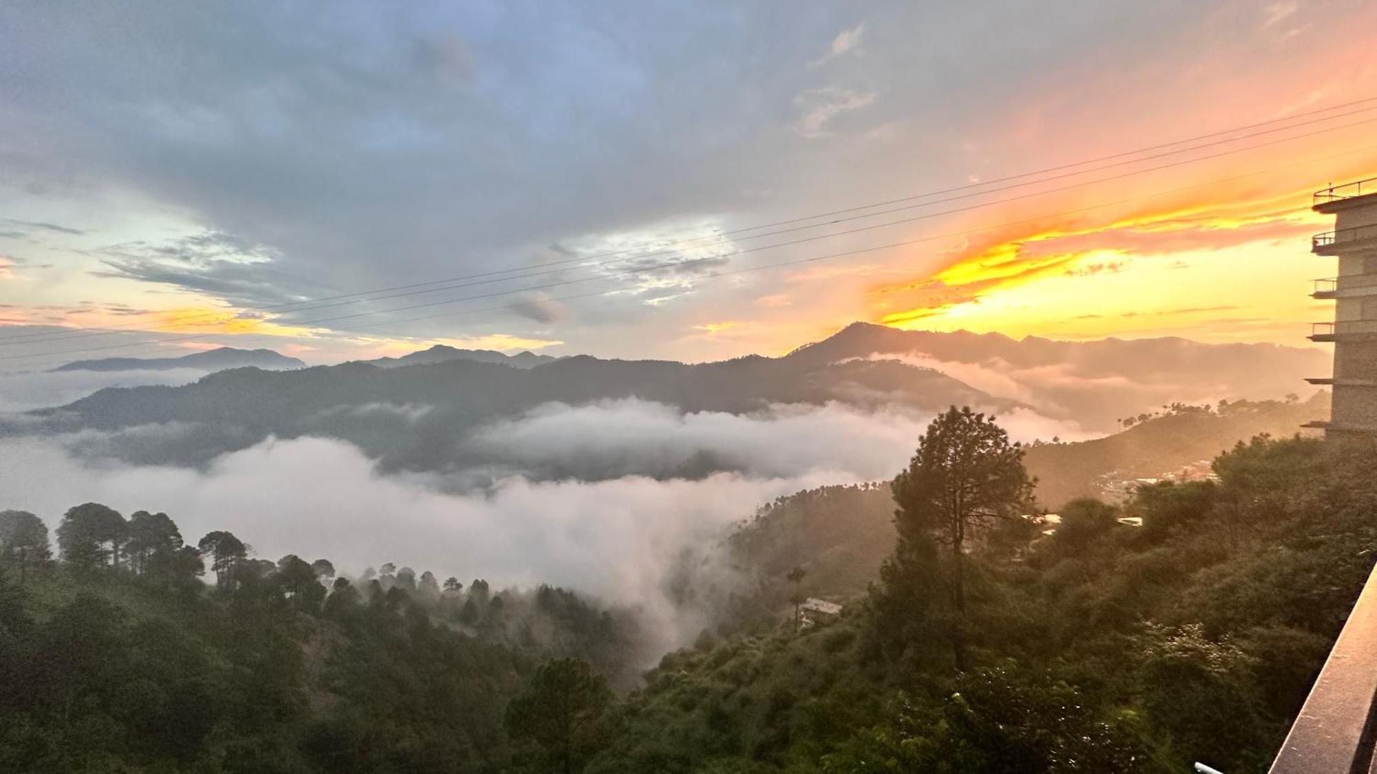 Best Nest Shimla Luaran gambar